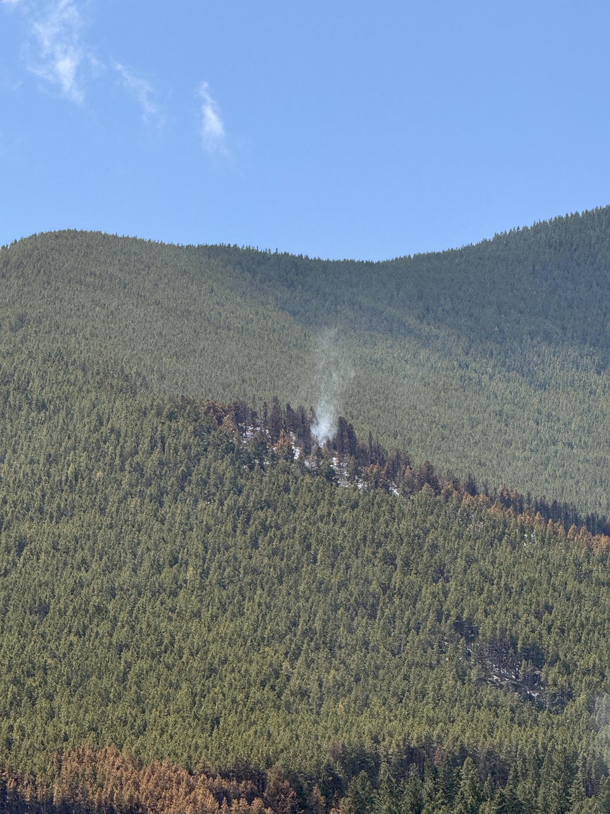 Smoke in the Timber on April 23