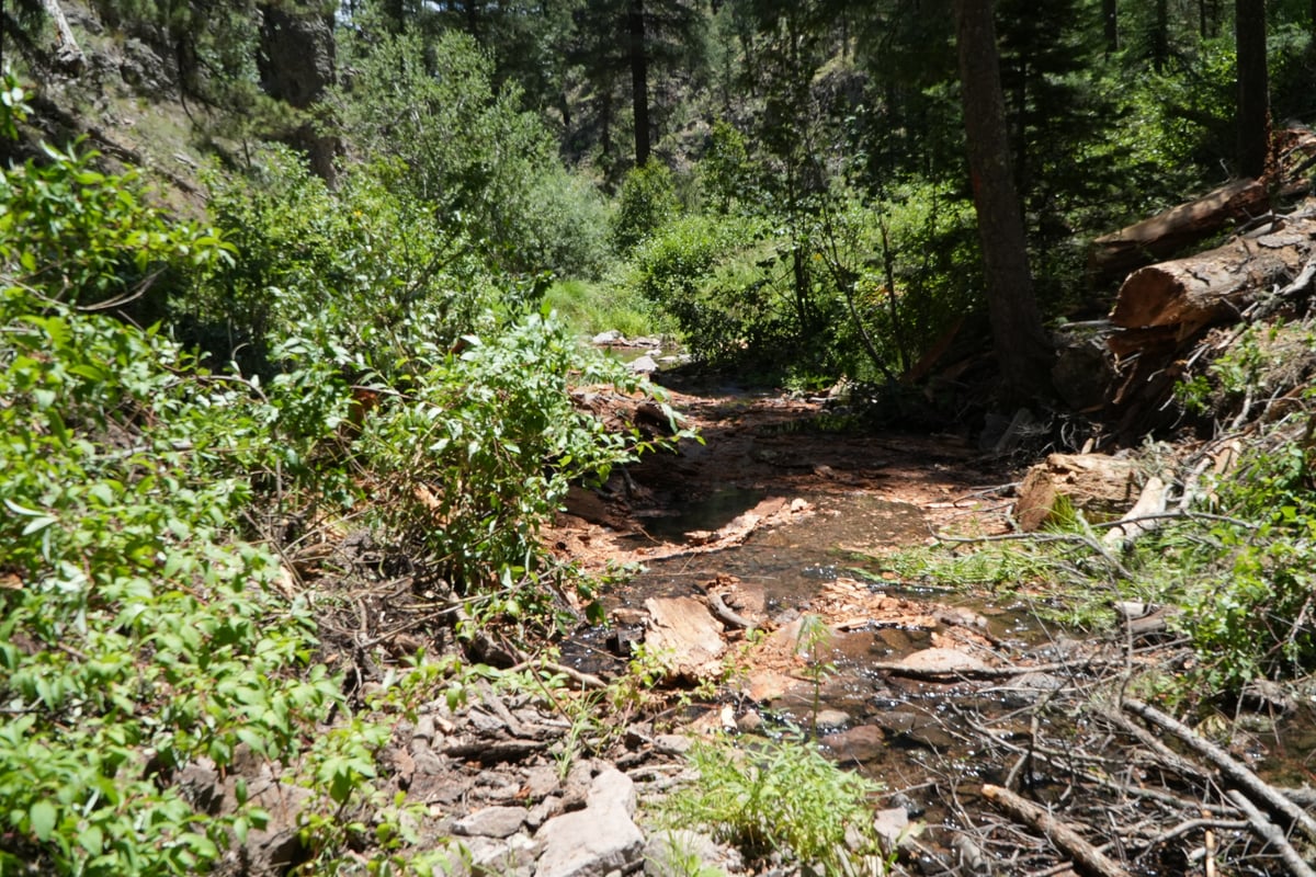 Willow Creek (After)