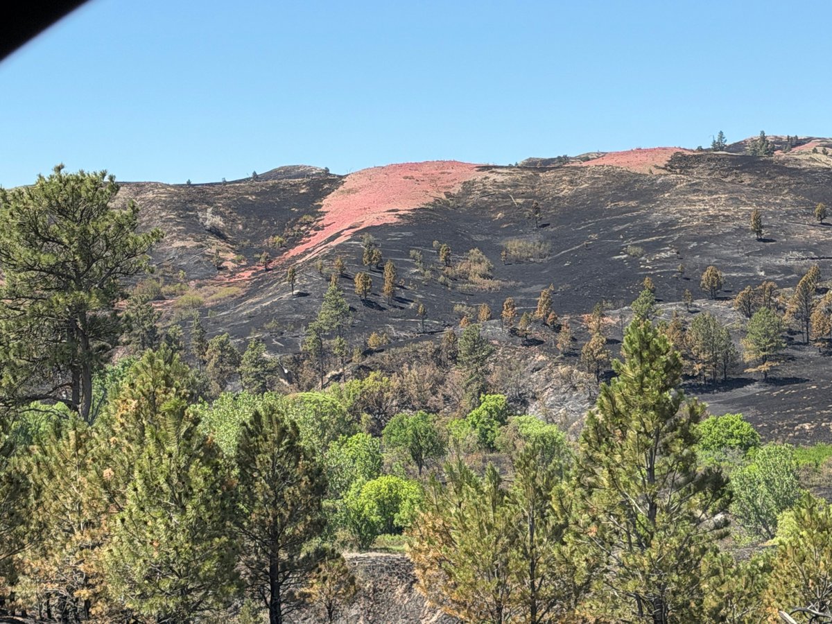 Burn Scar