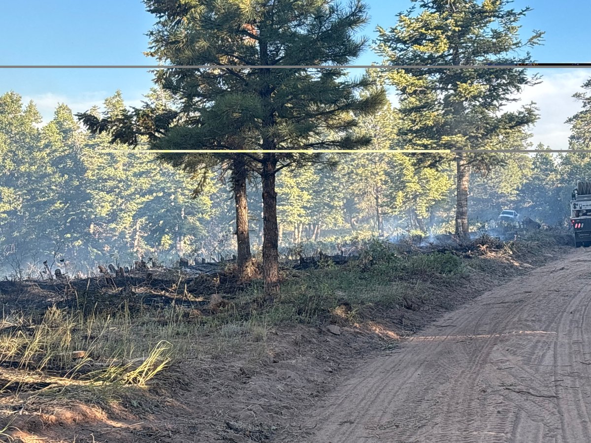 Burning Ground Fuels Near Defensive Lines