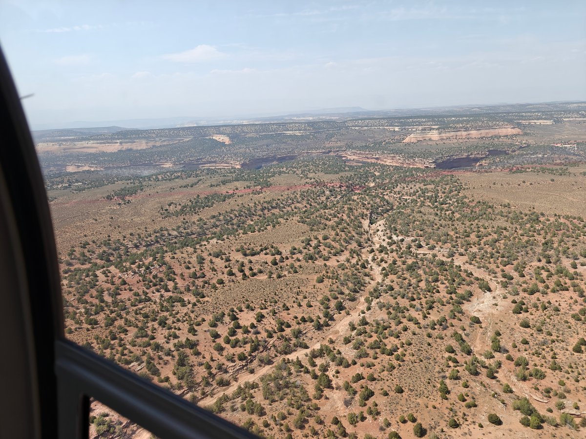Red Retardant in Front of Burned Area