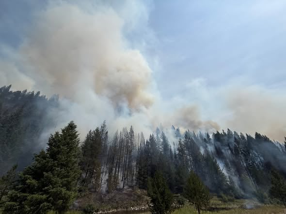 Fire near FS 13 Road