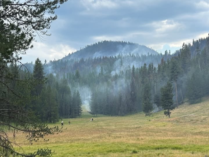 Hoselays near Olive Butte fire