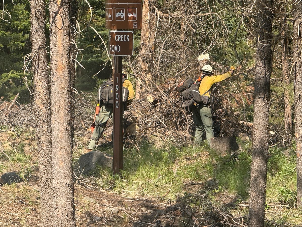 Firefighters brushing along Road
