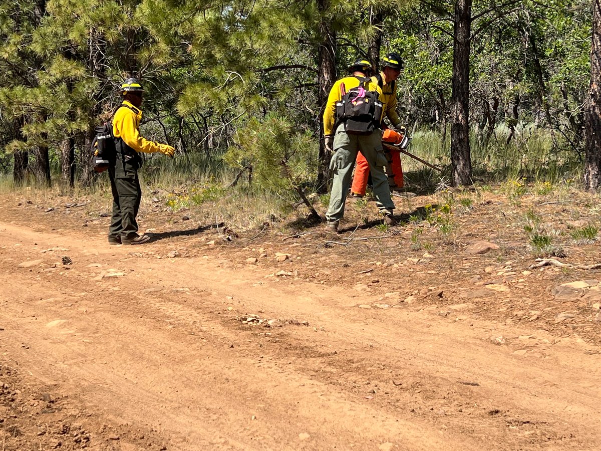 Crews Remove Fuels Along Defensive Lines