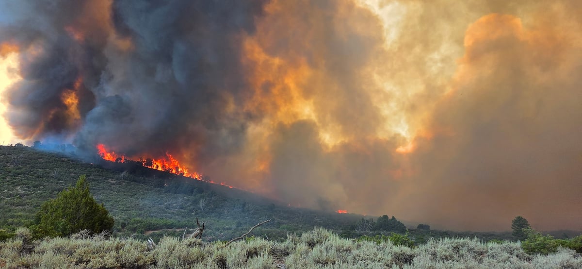 Grapevine Fire burns in BLM Ely District