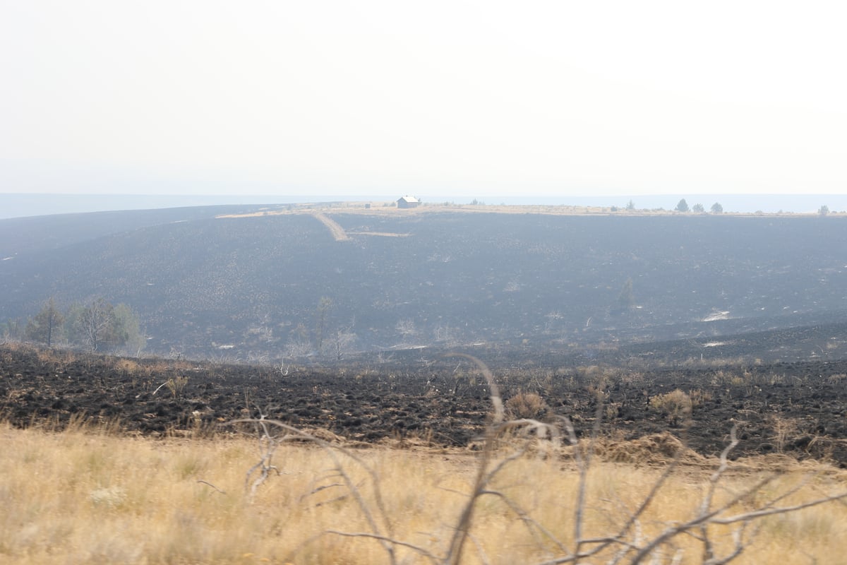 Structure Standing Beyond Burned Area Near Buckhorn Road