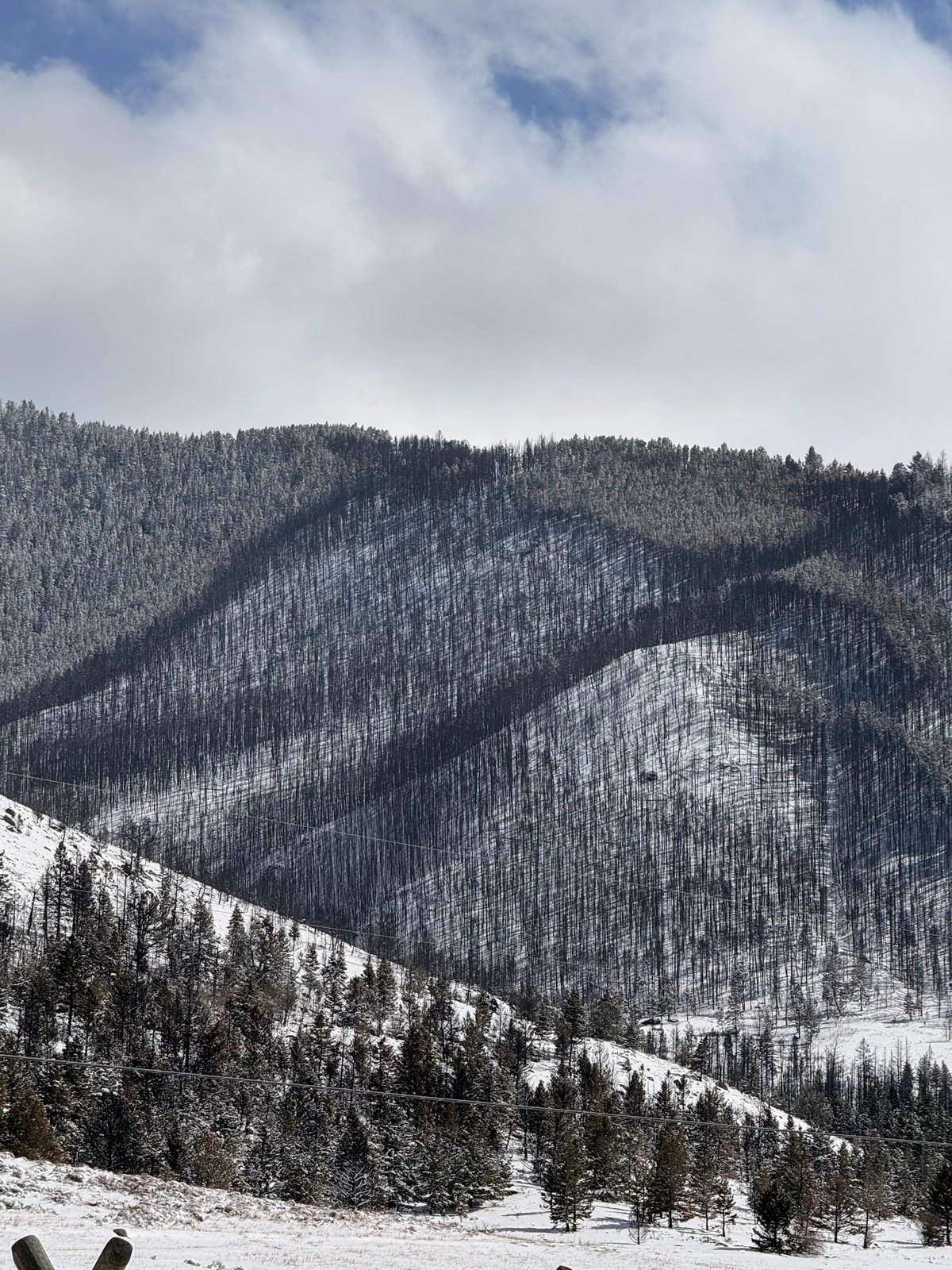 Part of the fire area on April 24