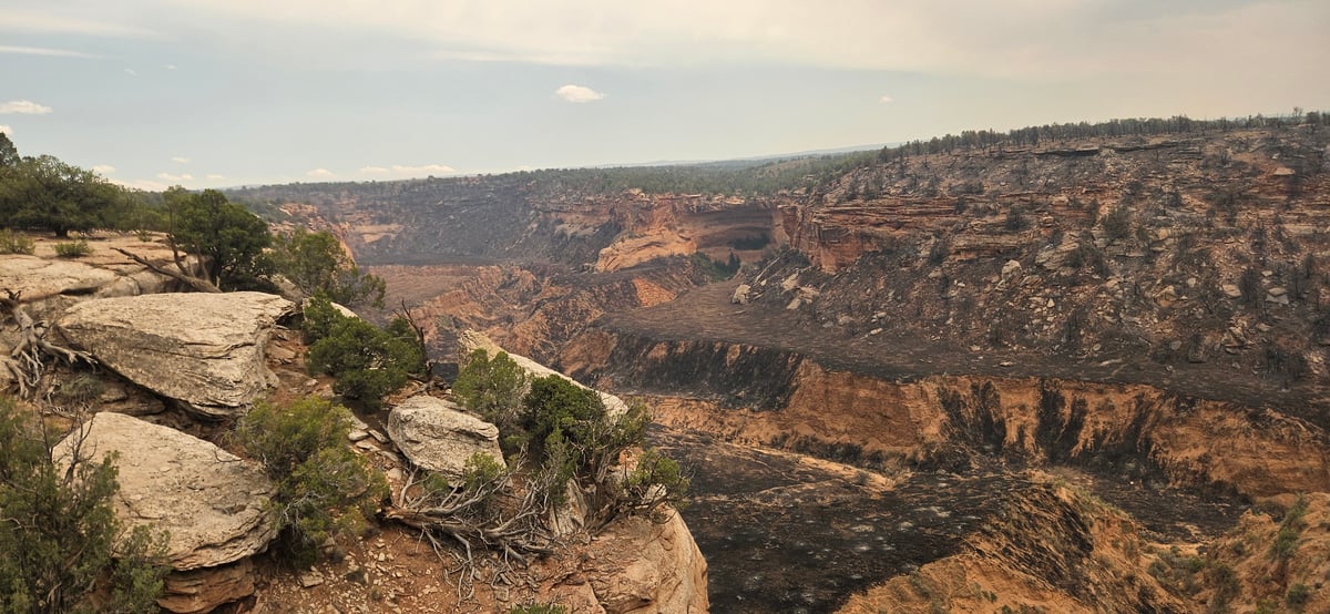 Snyder Fire Burned Area, June 30