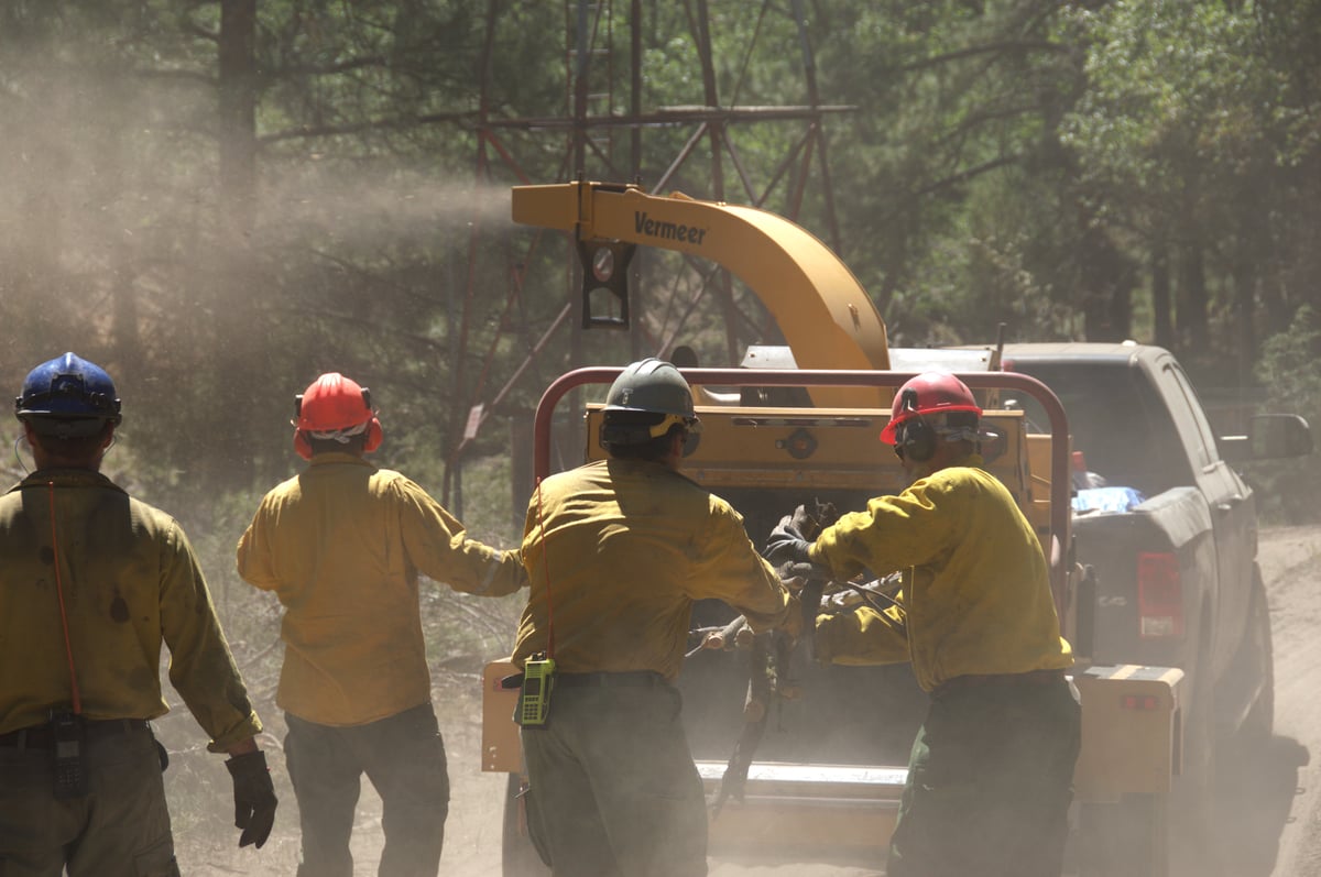 Chipper on Bear Fire 2026