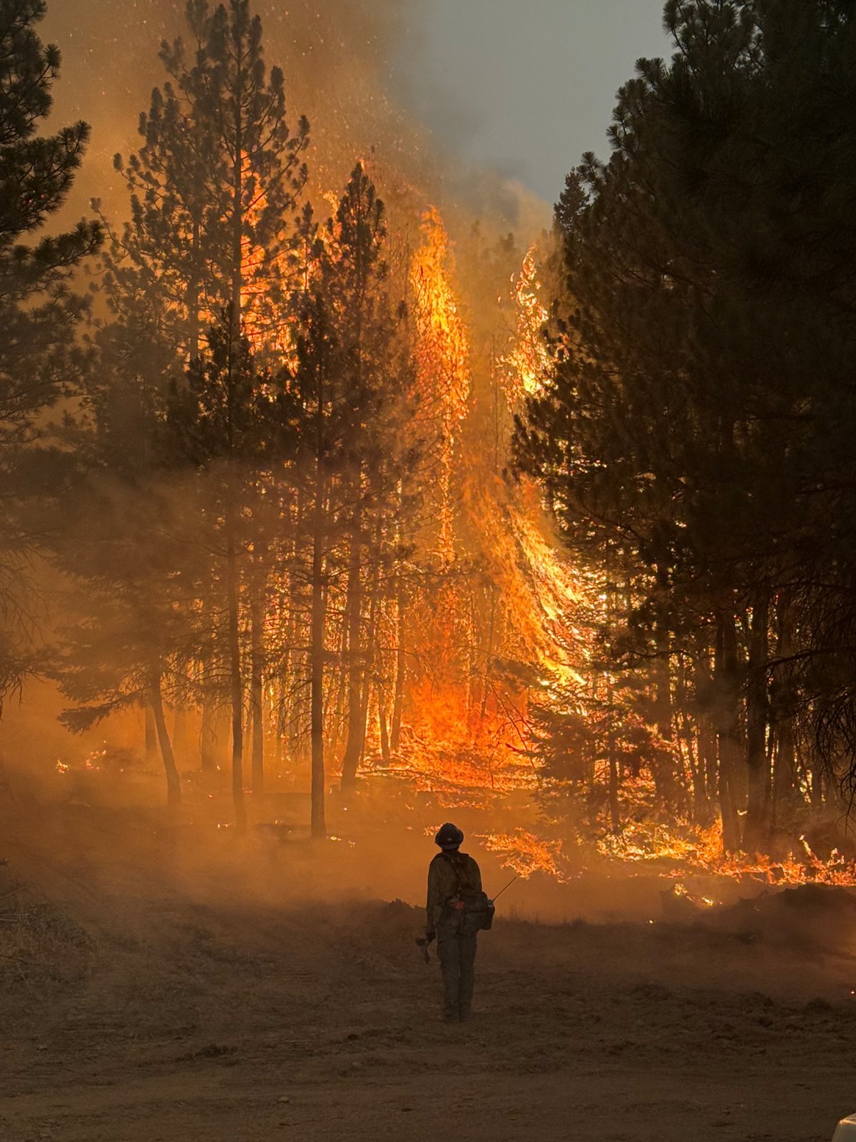 Timber Flare-up on Brewer Fire 07-22-2026