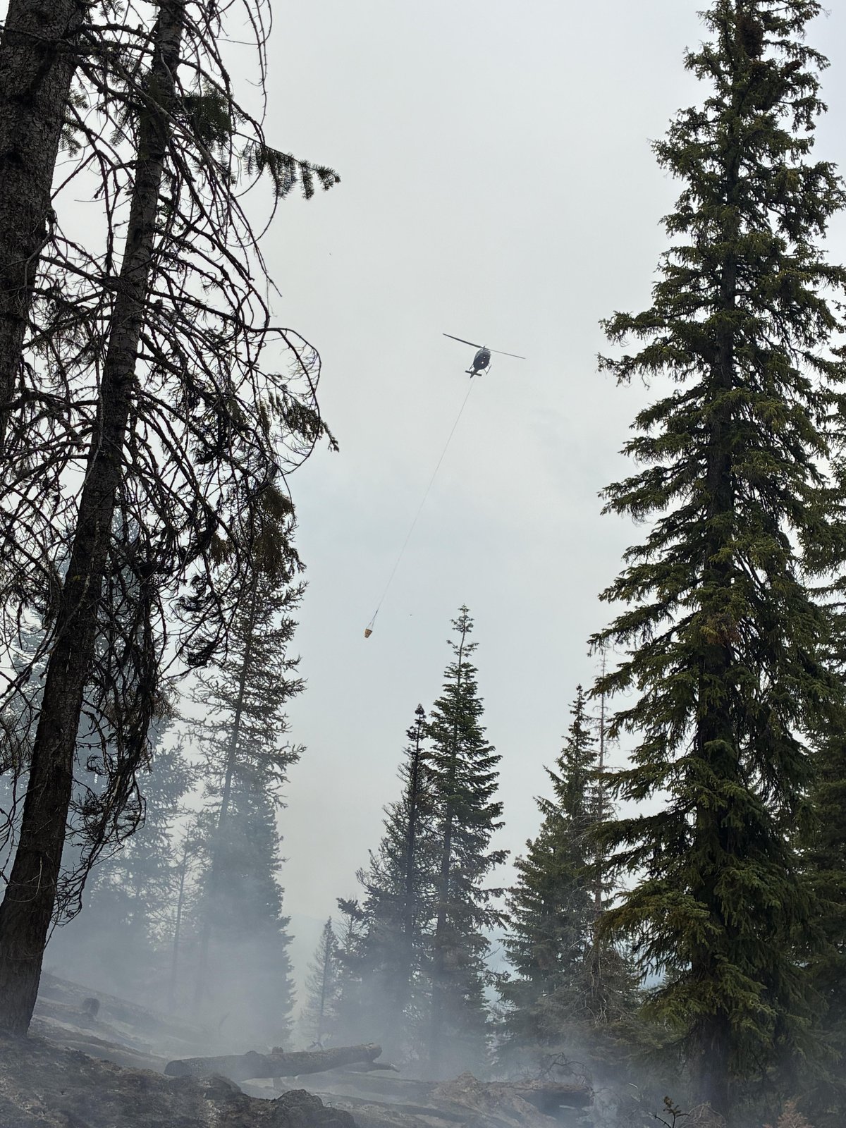 Anthony Fire Photo 07-12-2026