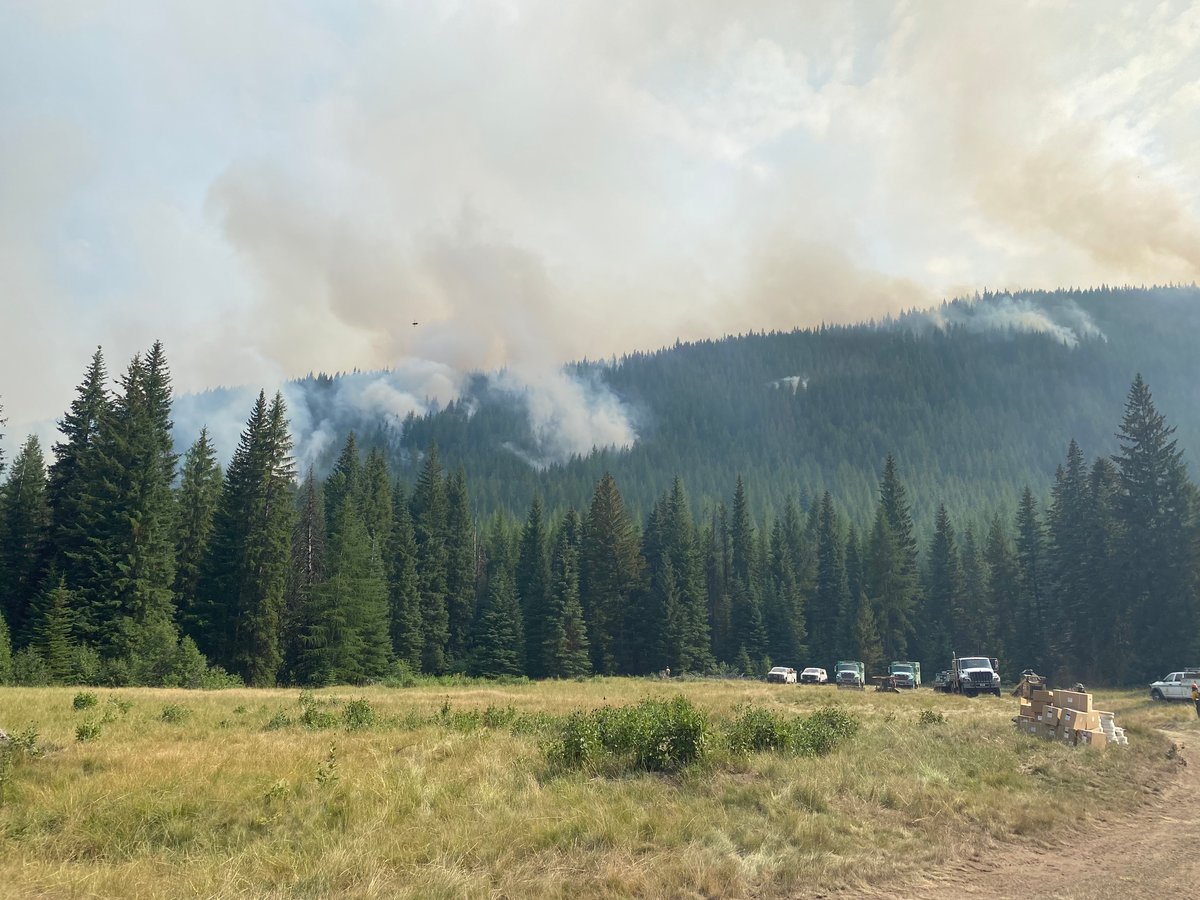 Strategic Burning Operations on the Anthony Fire