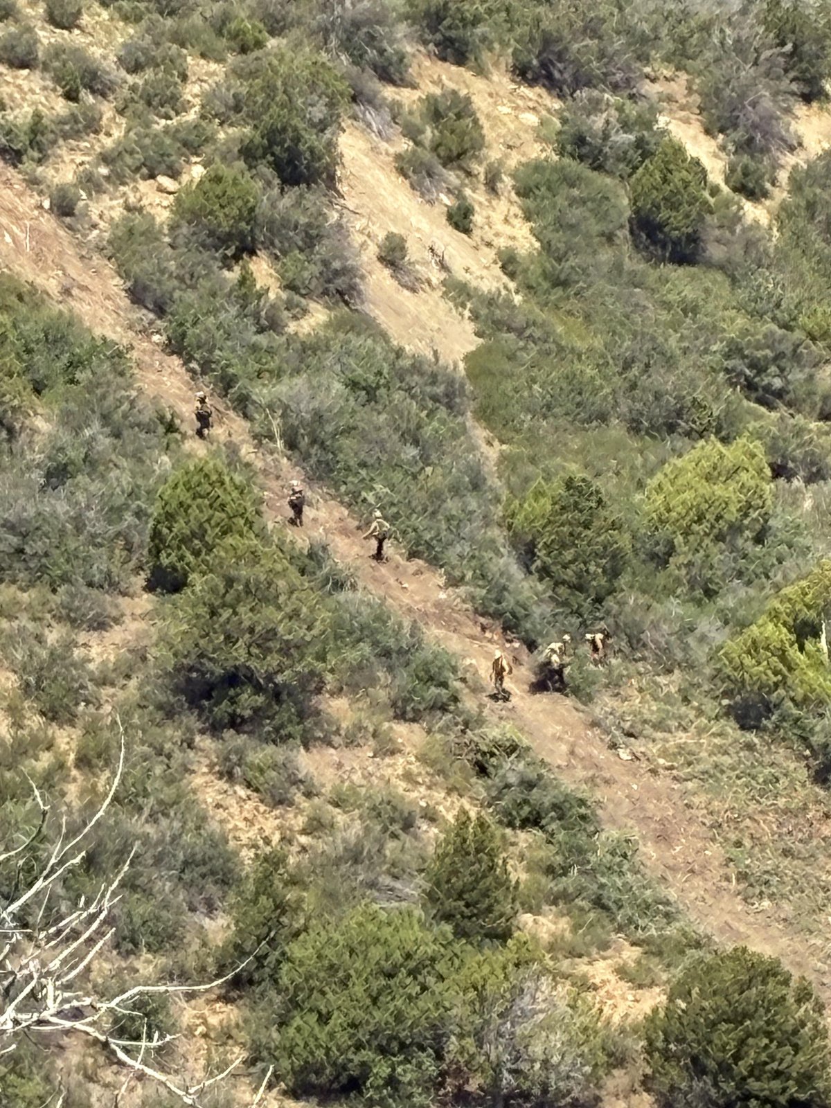 20260703 Handcrews patroling line