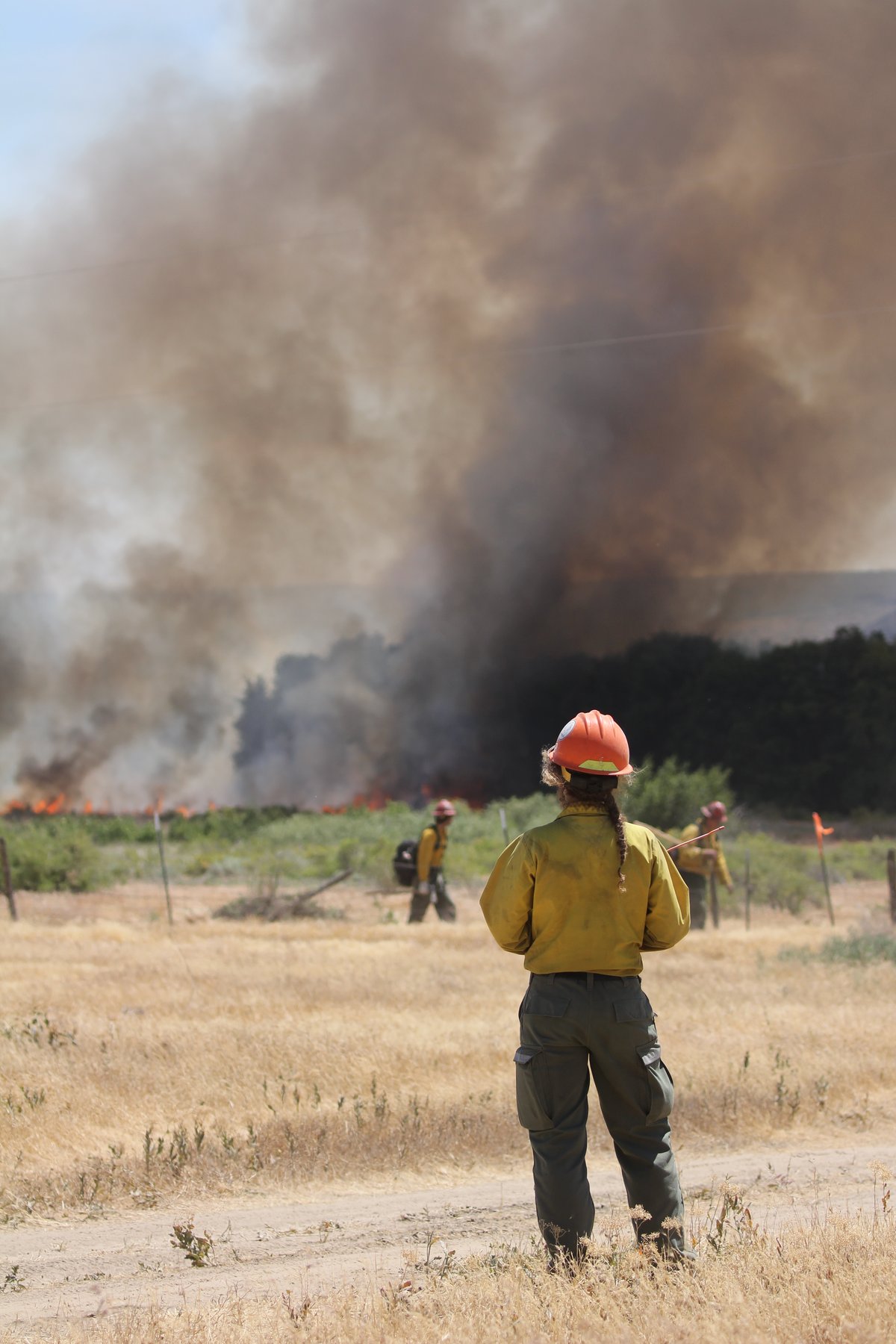 Firefighters in Smoke