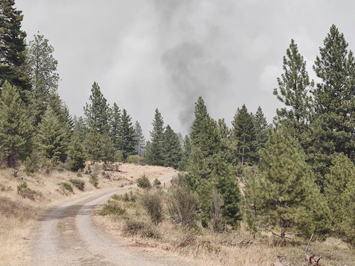 Bologna Fire Smoke Photo