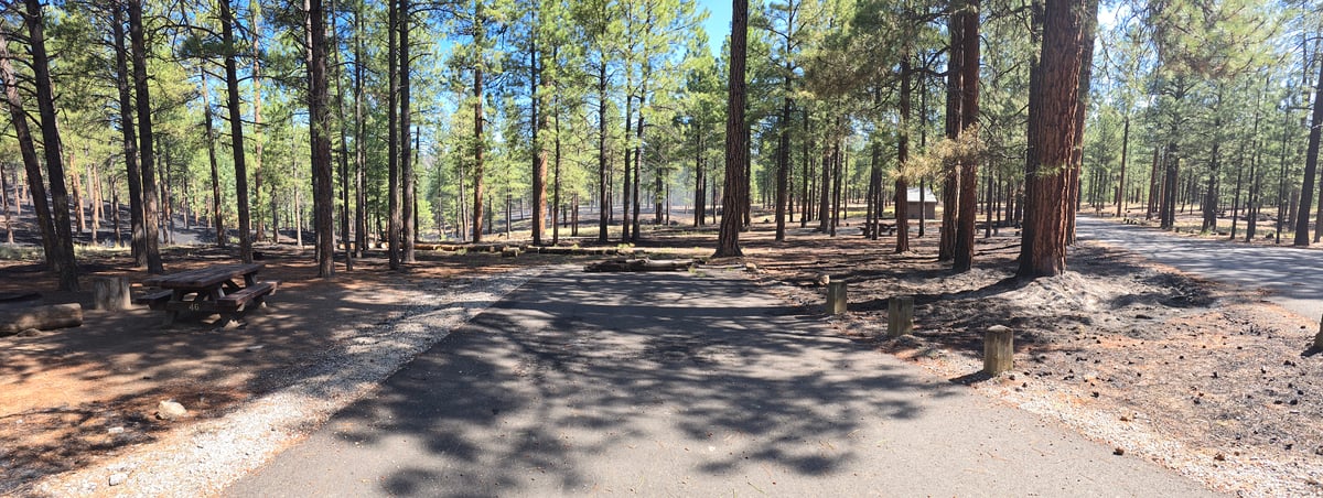 Jemez Falls Campground southern loop 6-27-26