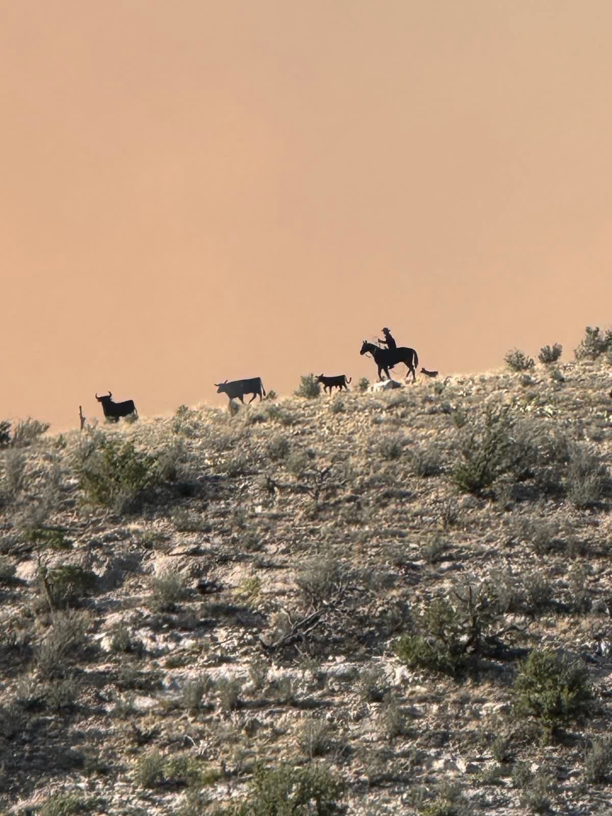 Seven Cabins Fire-Smoke behind a cowboy-May 20, 2026
