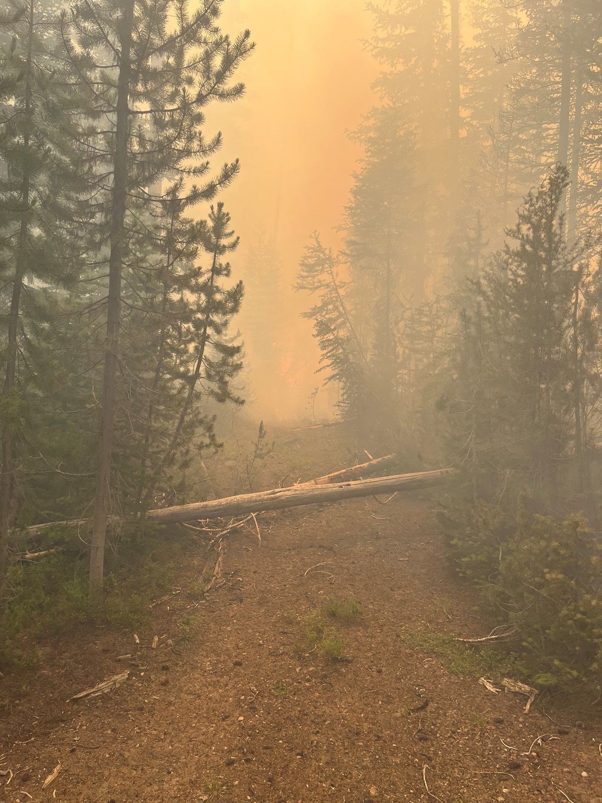 Smoky Road along Fireline