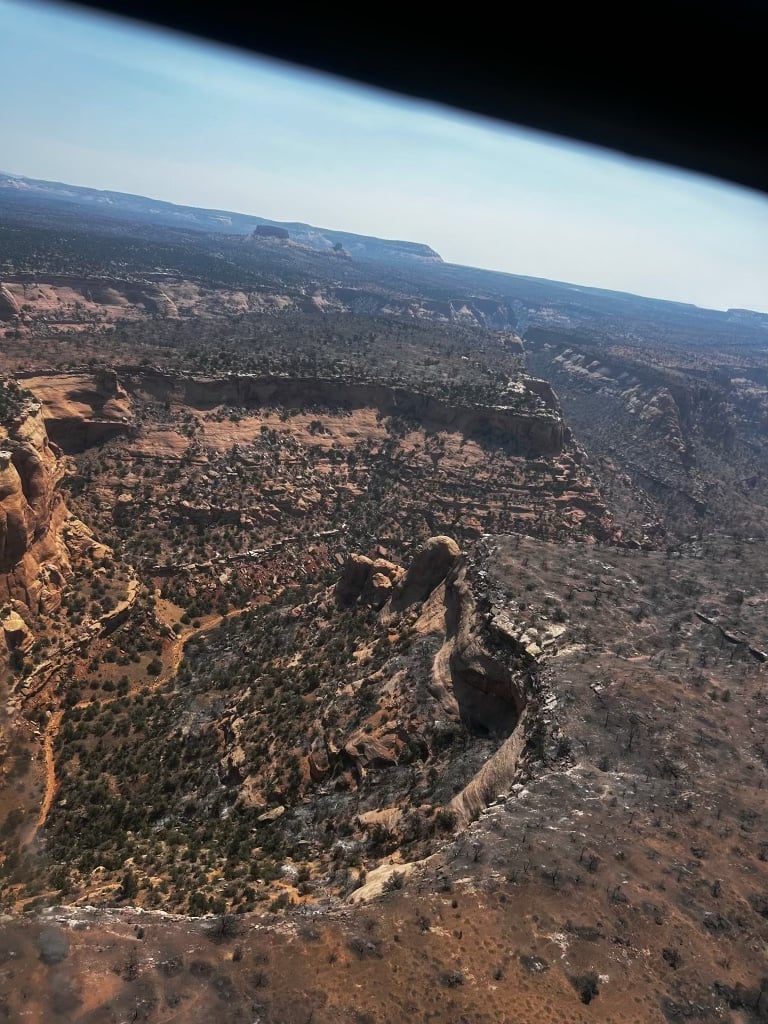 Snyder Fire Terrain, July 2
