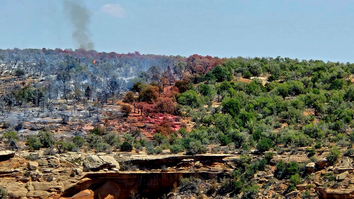 Retardant Line on the Snyder Fire