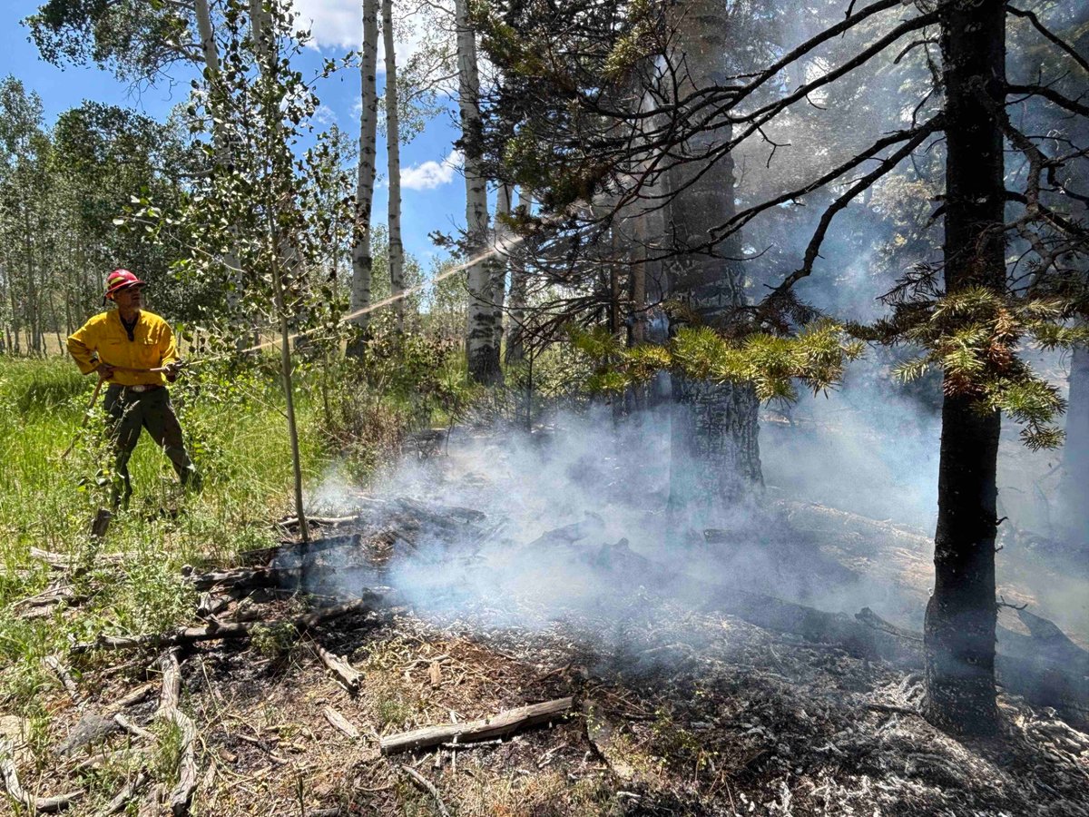 Taking the Heat Out: Mop-Up on the Cottonwood Fire