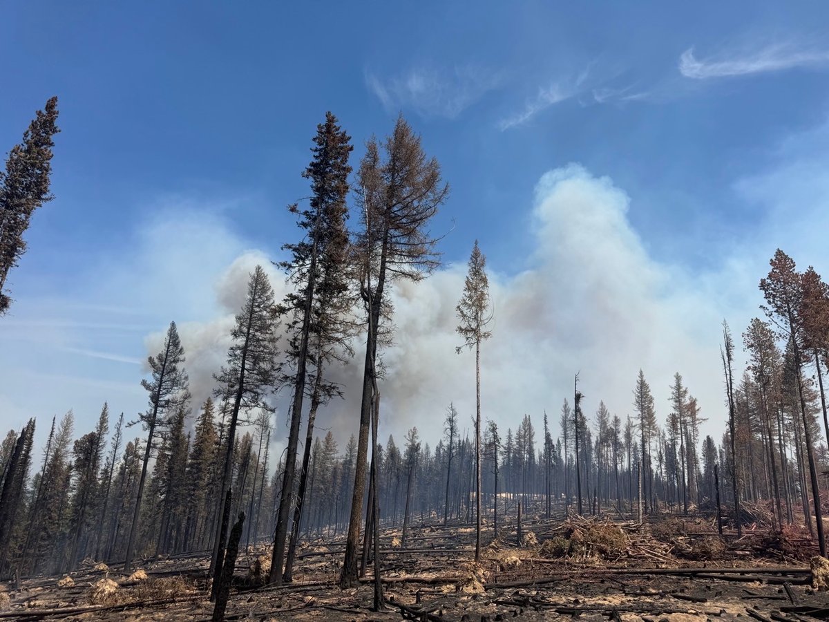 Anthony Fire - July 19