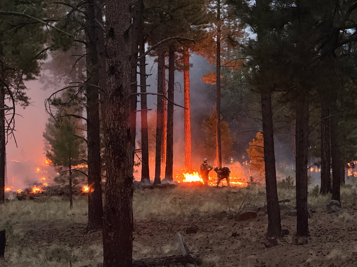 Firing off HWY 4 June 25, 2026