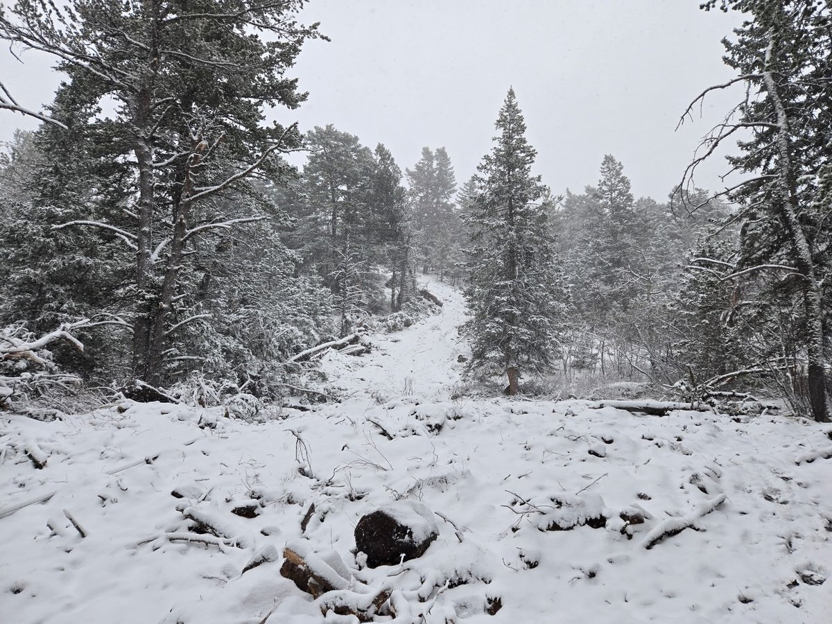 Dozer line in Snow