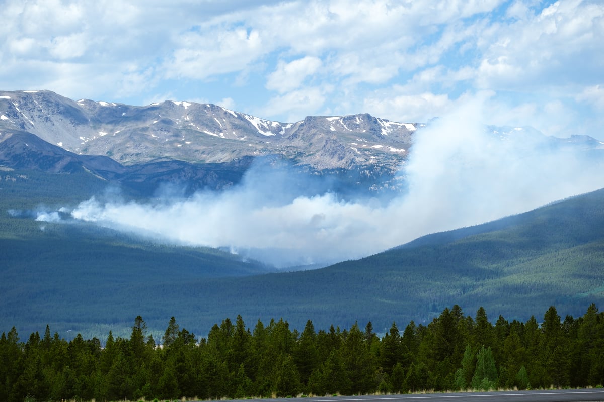 Smoke on the Willow Fire