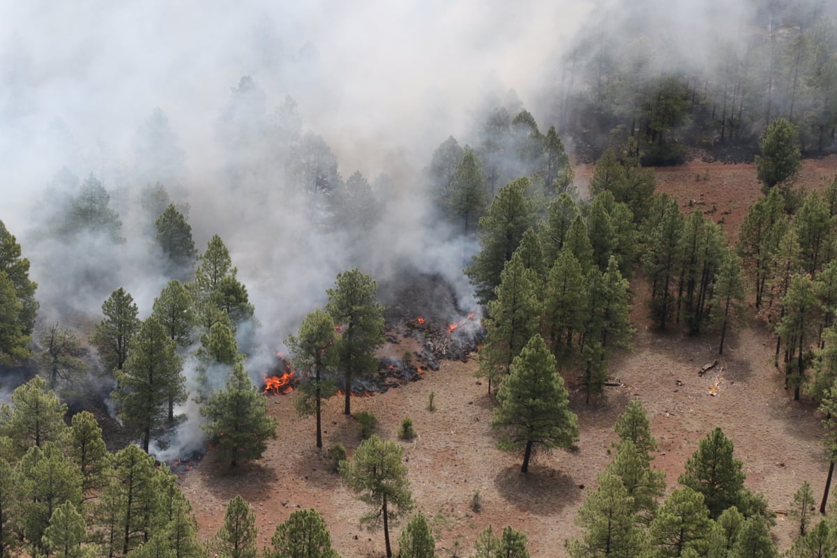 Flames and smoke on Bear Fire