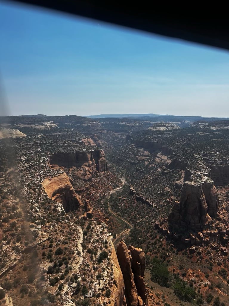 Snyder Fire Terrain, July 2