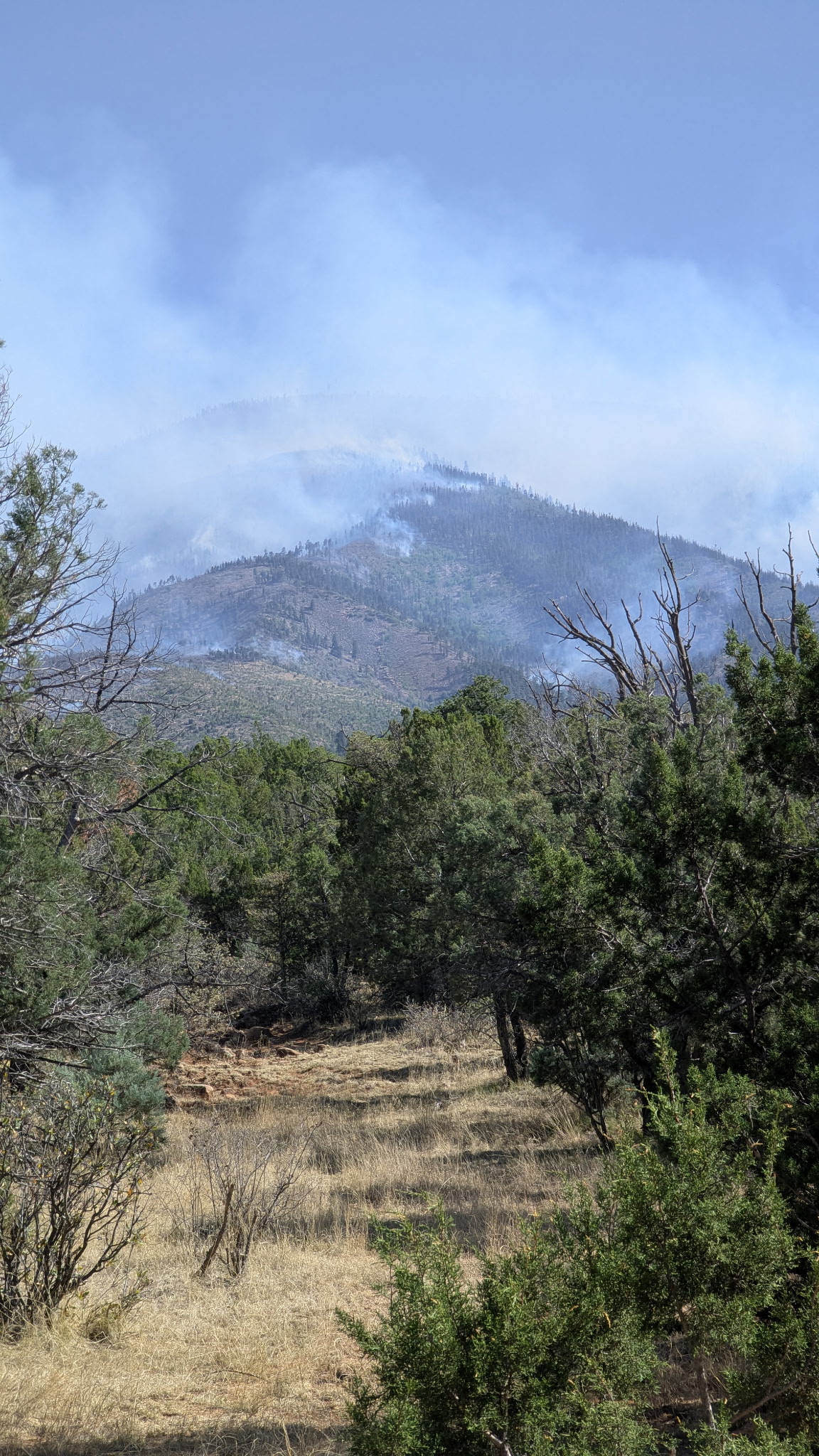 Seven Cabins Fire-Trail to Fire-May 18, 2026
