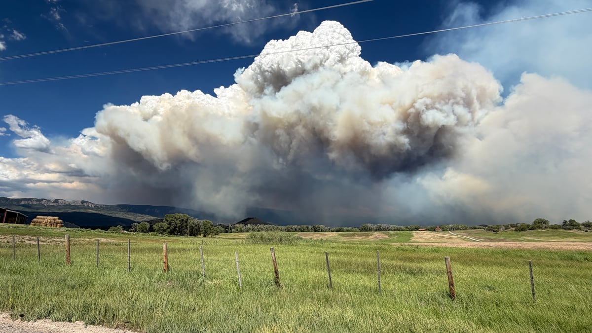Gold Mountain Fire