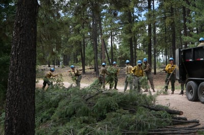 Sacaton Fire - Crew clearing slash