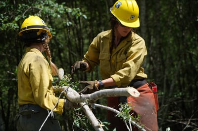 Firefighters Remove Vegetation