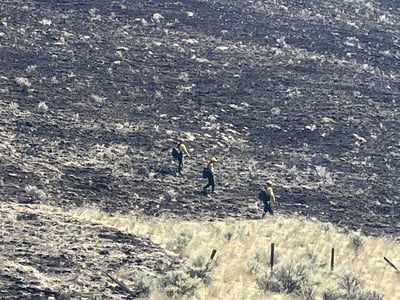 Firefighters Cold Trailing on Roza Fire