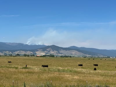 Anthony Fire 7-11-2026