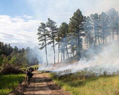 South Fork Fire - WYO Hot Shots
