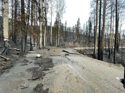 July 14, 2026, Highway 137 Road, Cottonwood Fire,