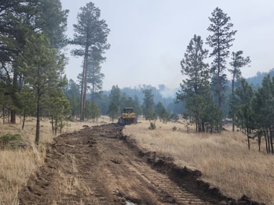 Dozer fireline