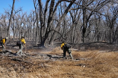 Firefighters Extinguishing Sources of Heat