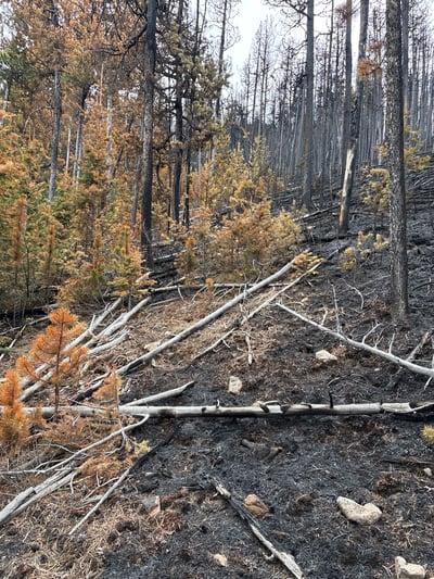 East Side Fire May 4, 2026