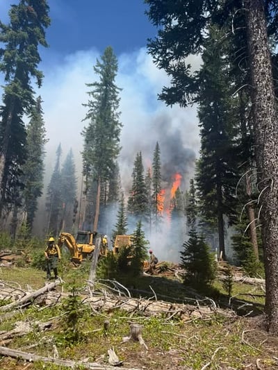 Dozer at Fireline