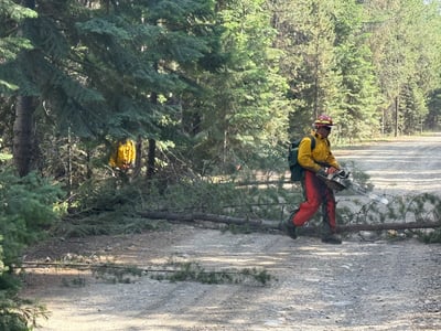 Brushing along the Road
