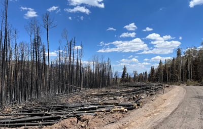 Hazard tree removal along Hwy 153, east of Junction 7.8.26