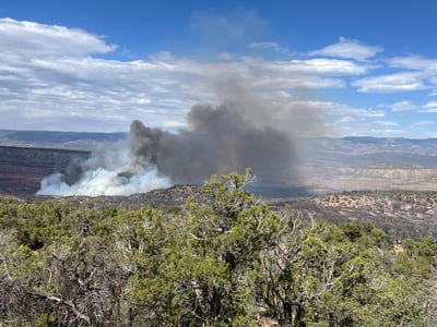 June 10th Beehive Fire
