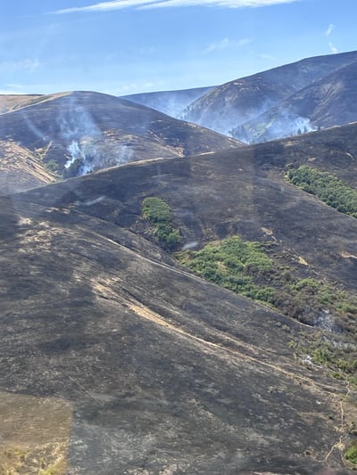 North Cayuse Fire - July 8