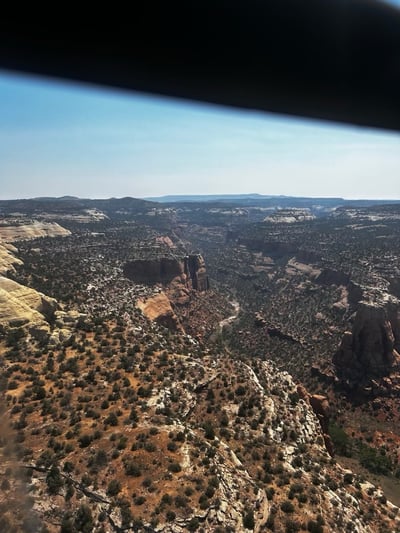 Snyder Fire Terrain, July 2