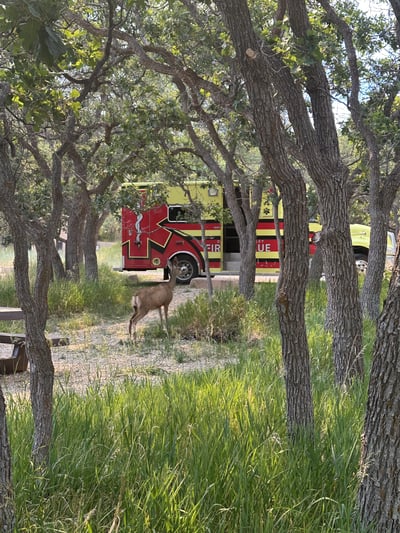 Our Staged Ambulance Had a Visitor